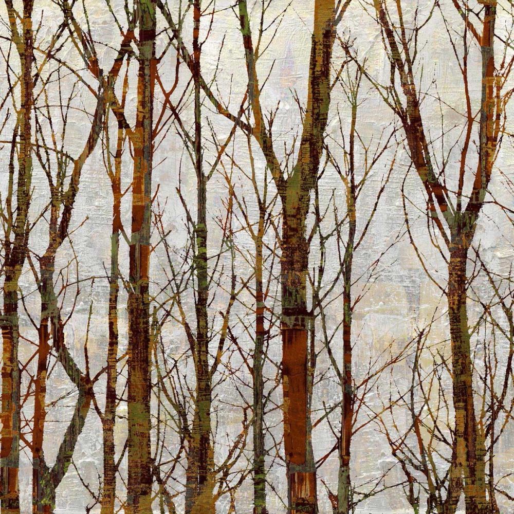 Through The Trees I