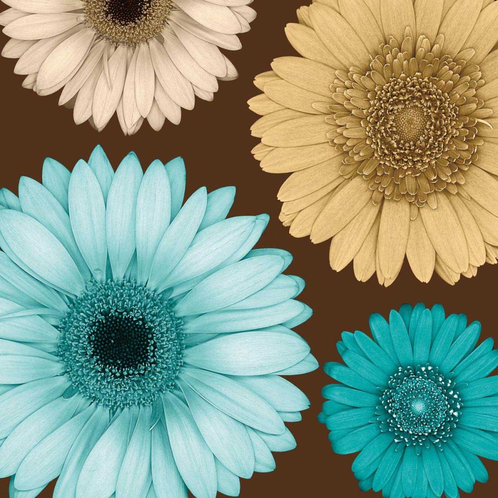 Daisy Quartet I