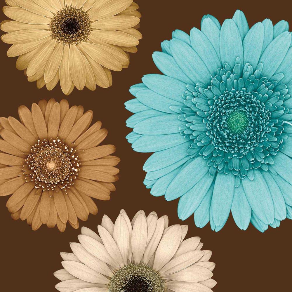 Daisy Quartet II