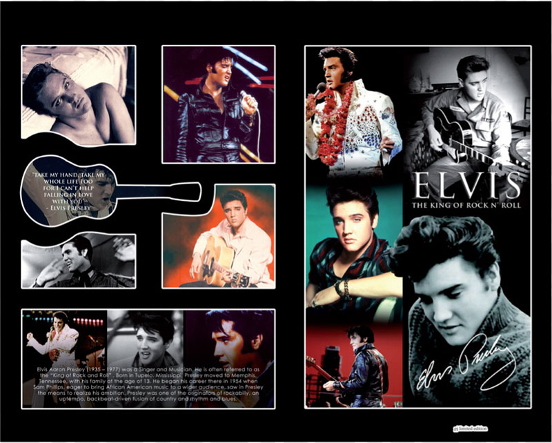Elvis Presley V4