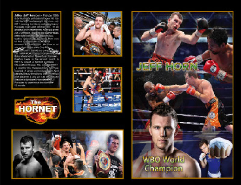 Professional fighters
