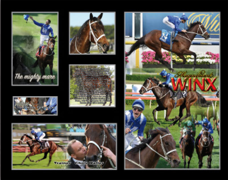 Horse racing