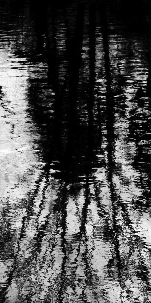 Reflecting Triptych I