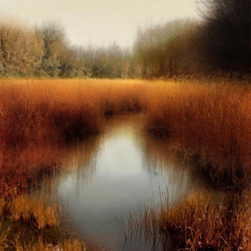 Sunlit Pond II