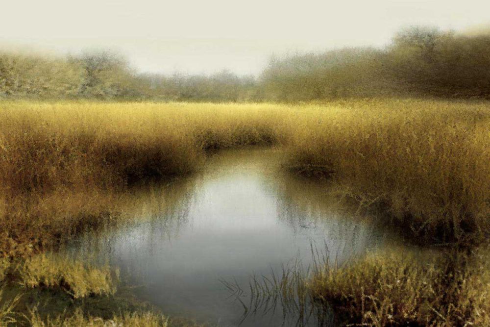Tranquil Pond