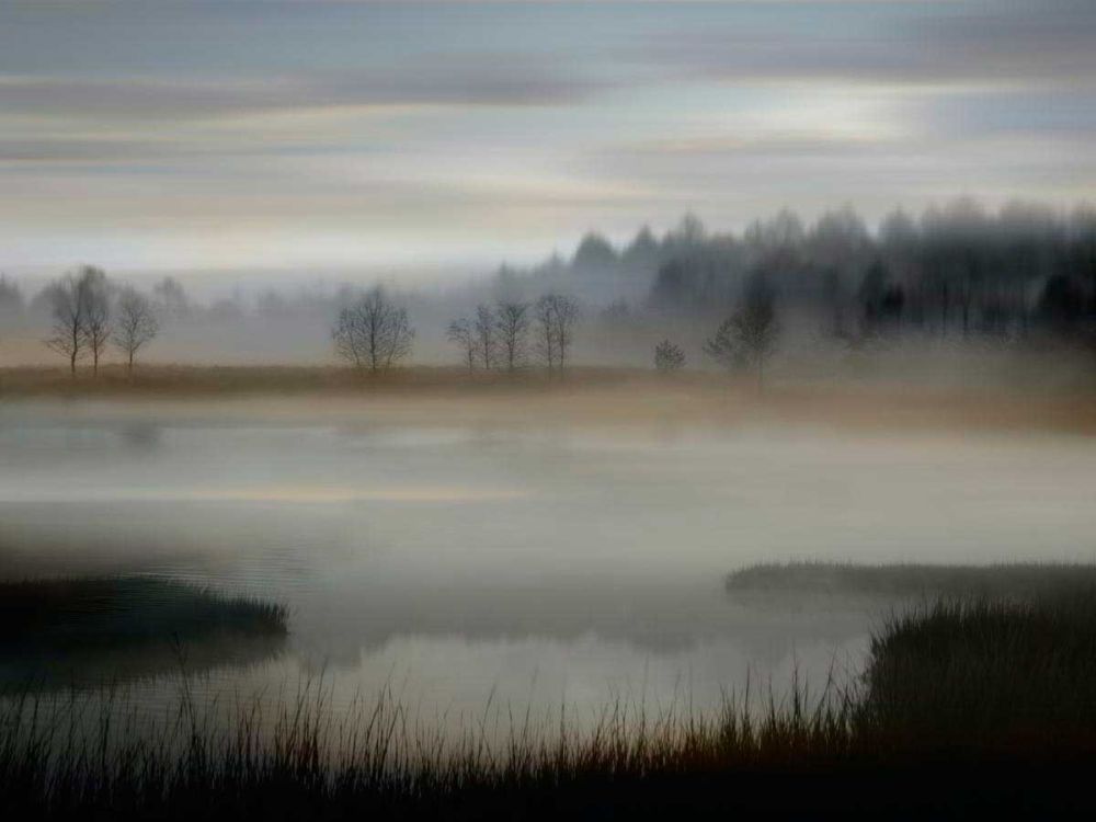 Early Morning