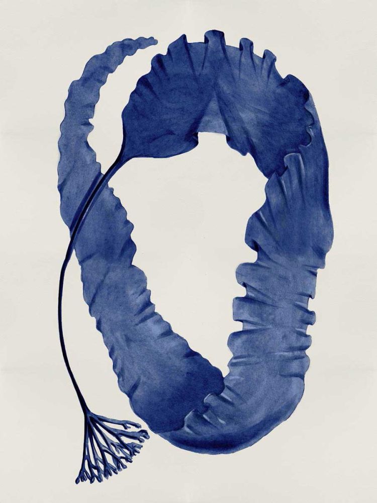 Sea Life - Indigo II
