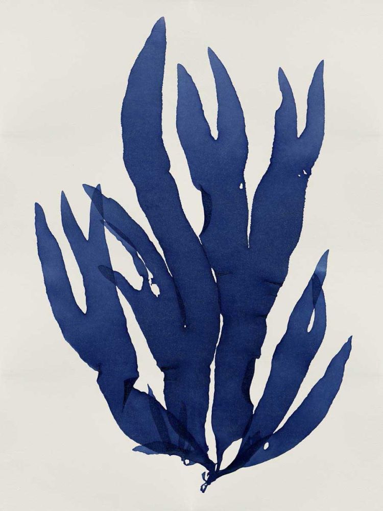 Sea Life - Indigo III