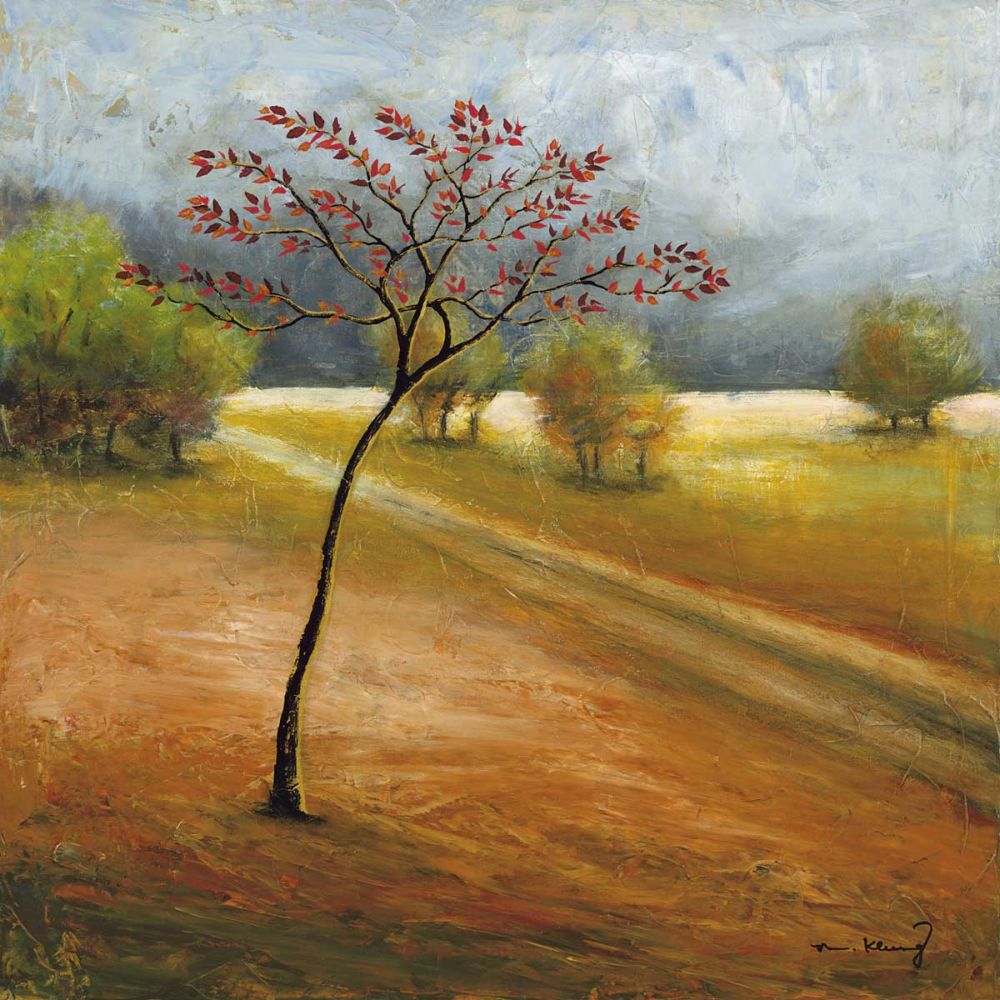 Observation I