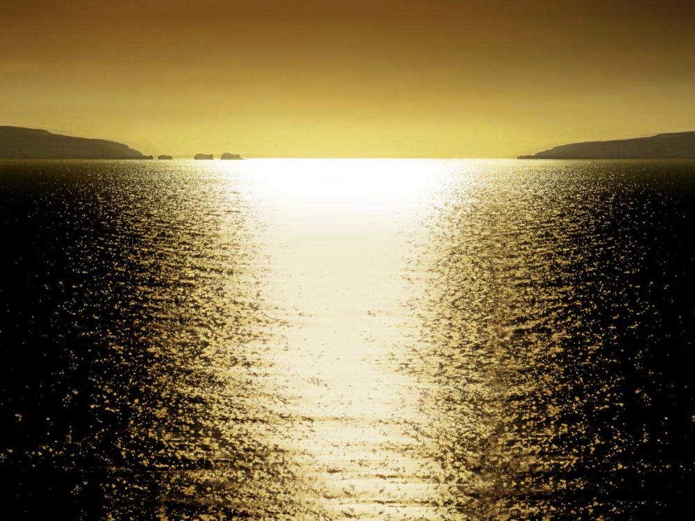 Sunlight Reflection - Golden