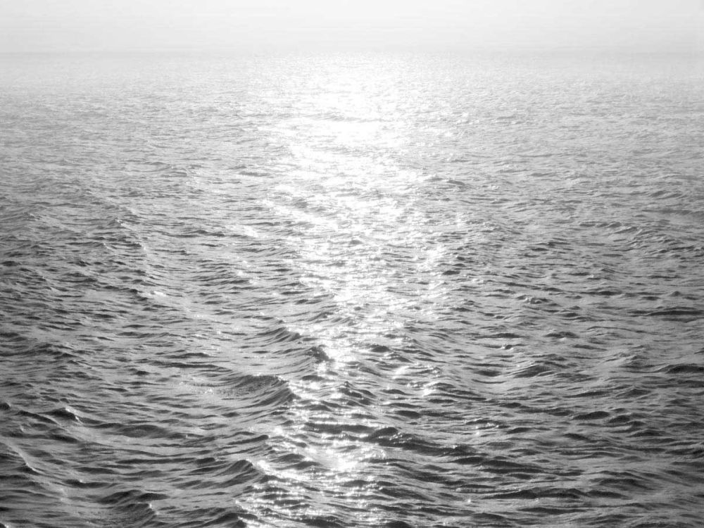 Open Sea II