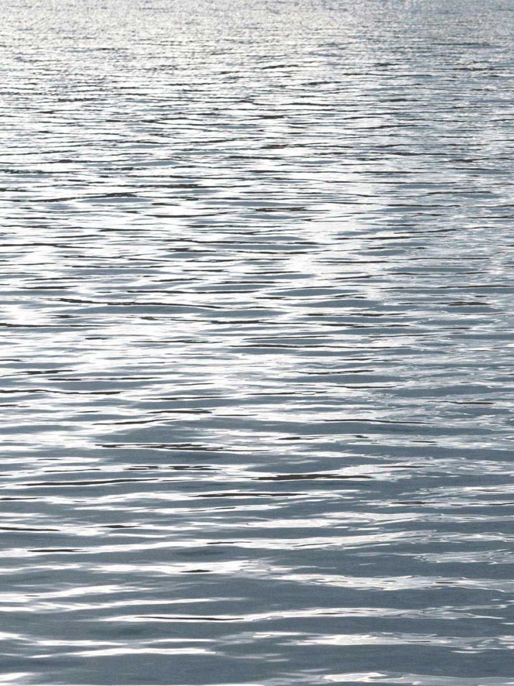 Ocean Current I