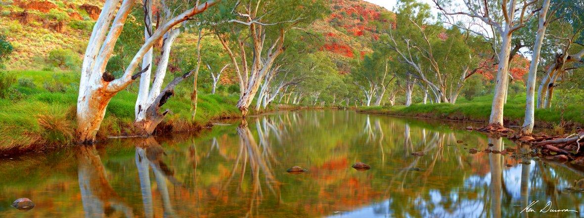 Ellery Creek NT