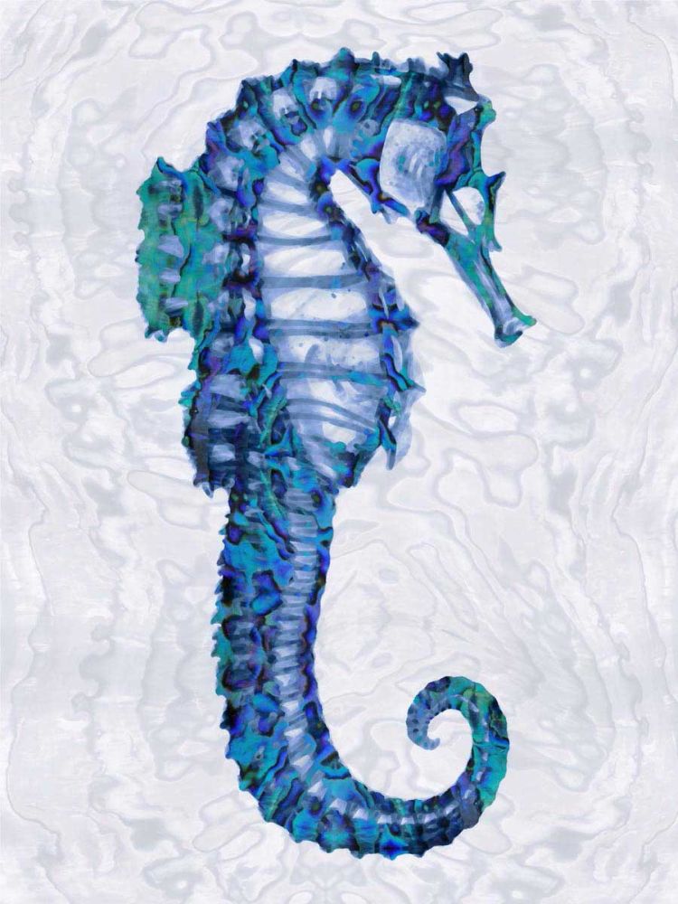 Sea Horse II
