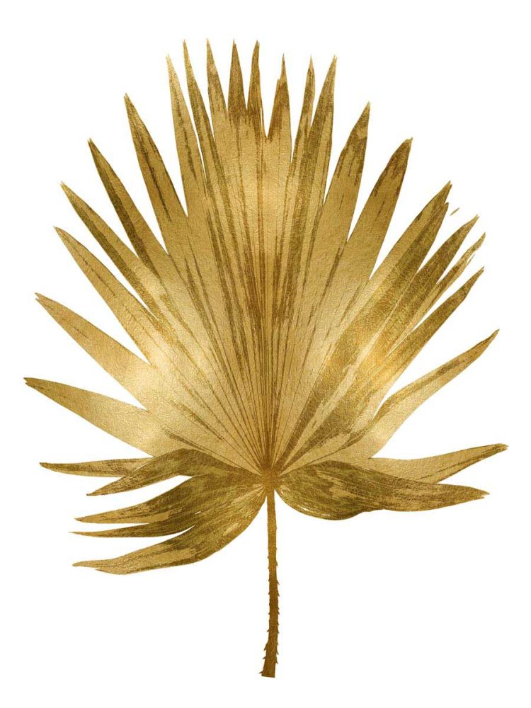 Gold Palm IV