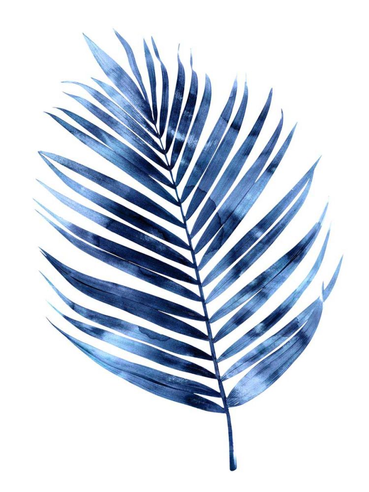 Indigo Palm I