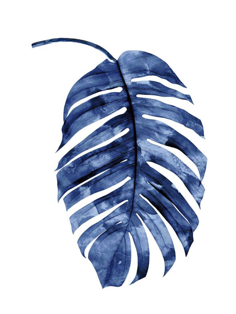 Indigo Palm II