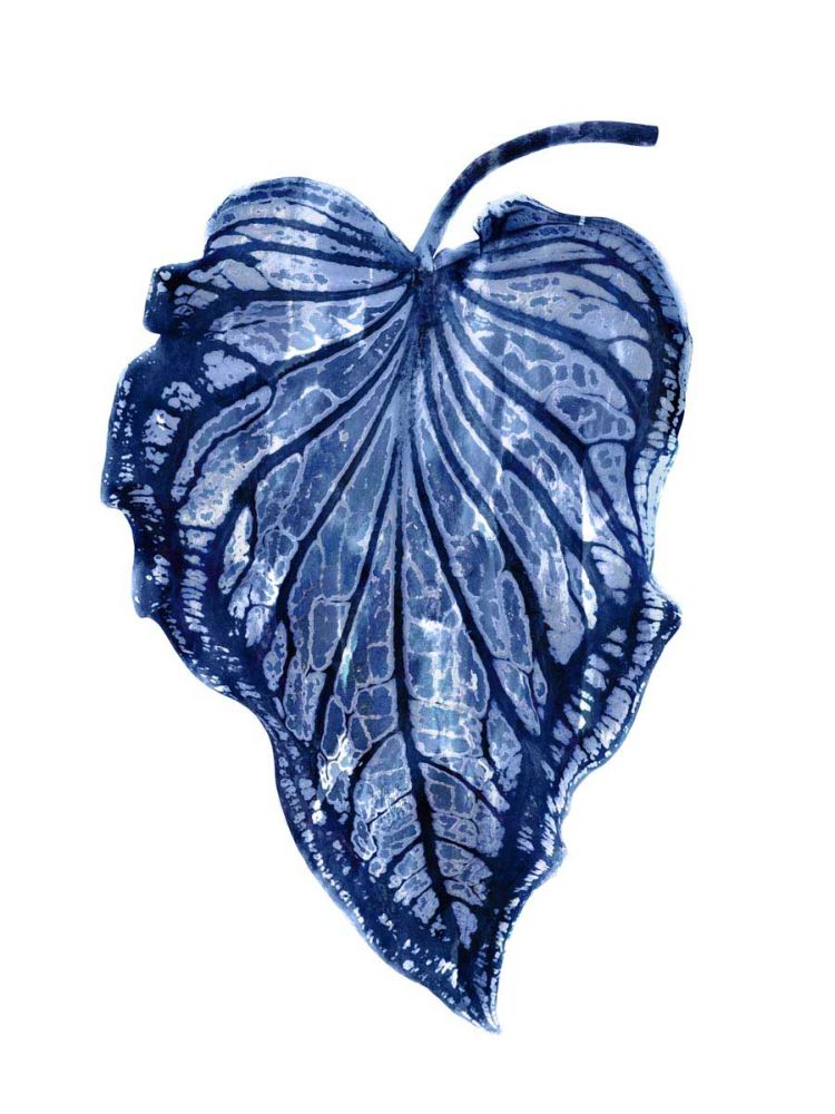 Indigo Palm III