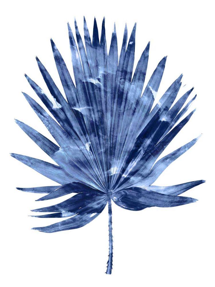 Indigo Palm IV