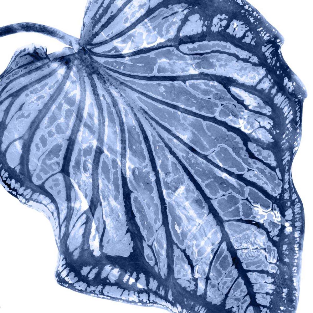 Tropical Indigo Palm III