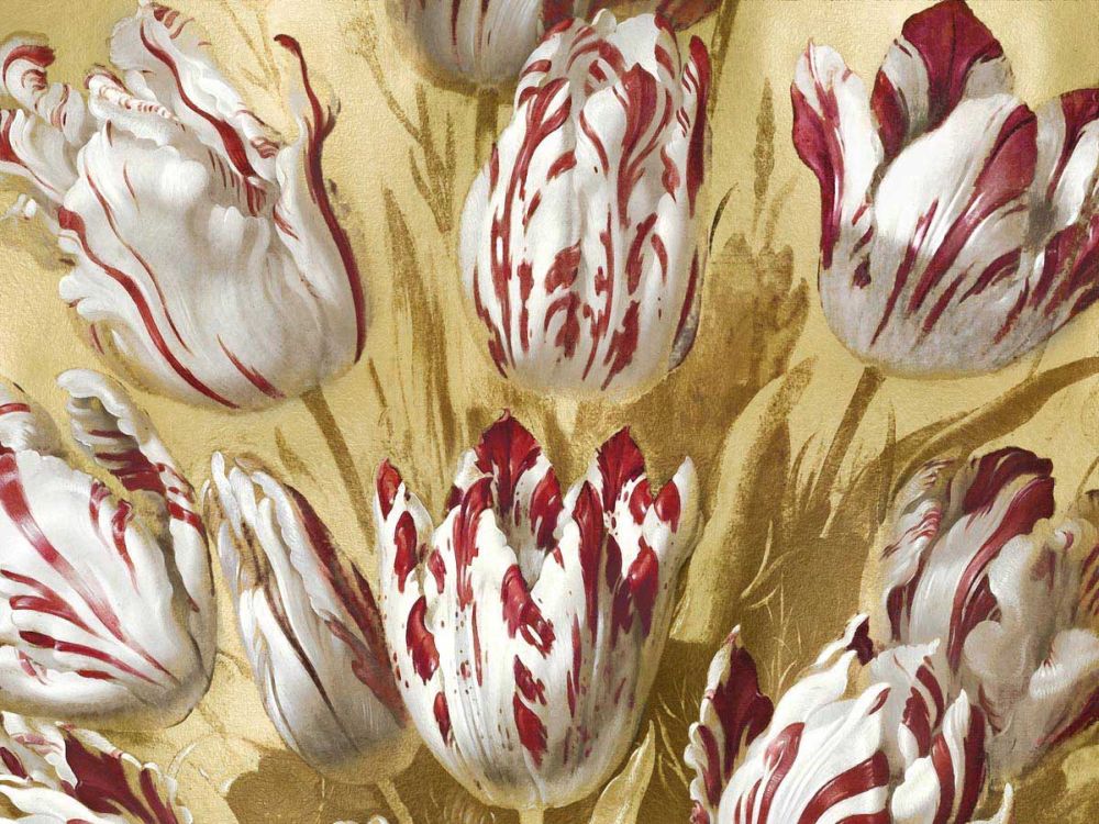 Tulips on Gold II