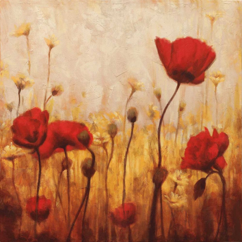 Poppies and Daisies II