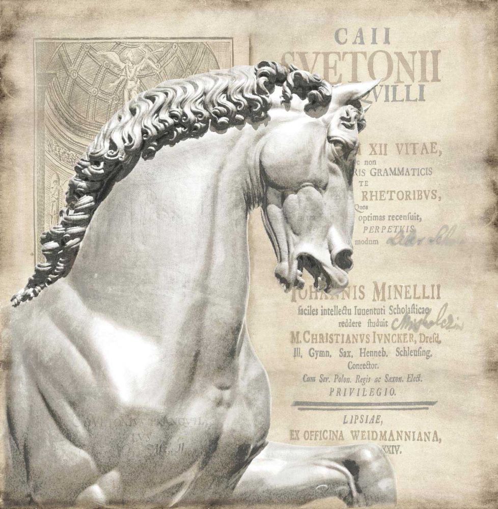 Renaissance IV