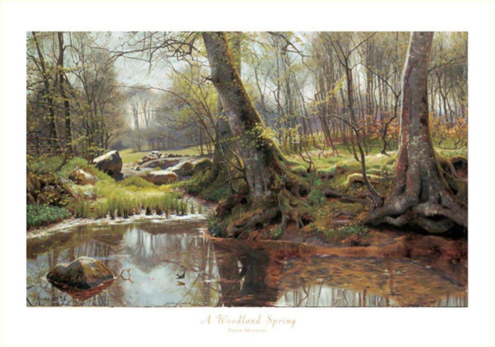 A Woodland Spring