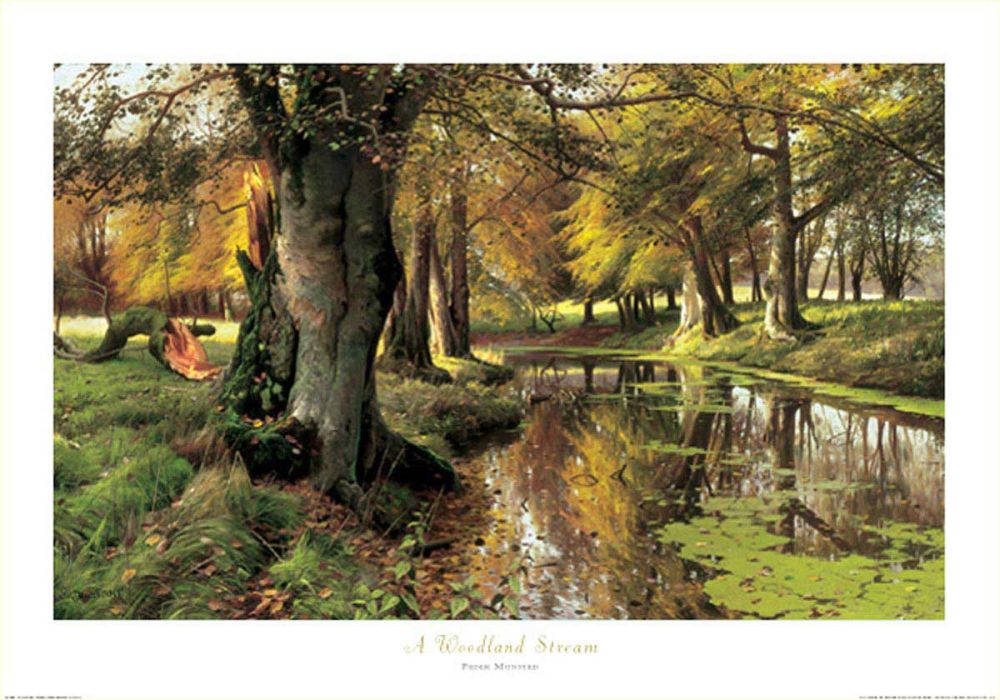 A Woodland Stream