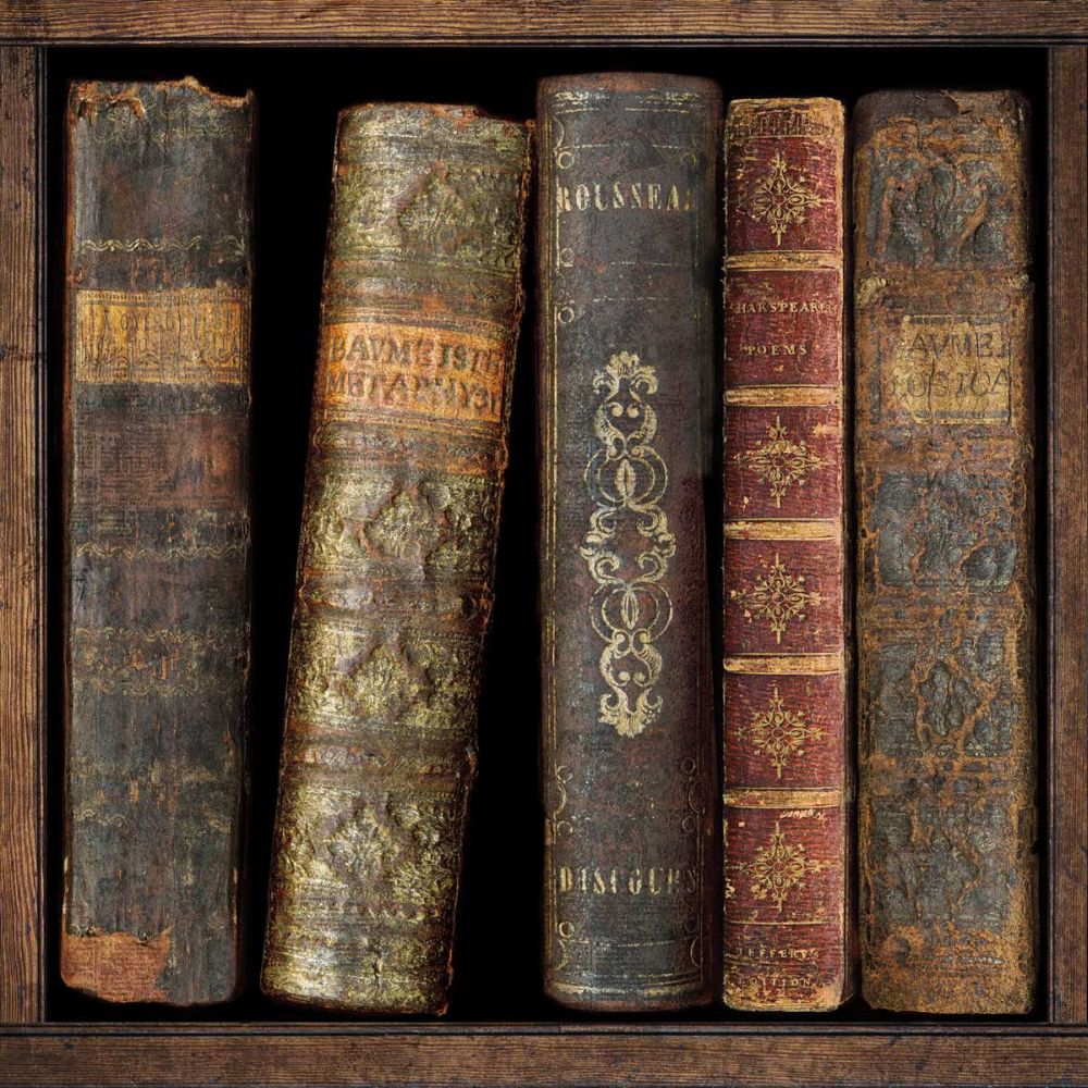 In The Library II