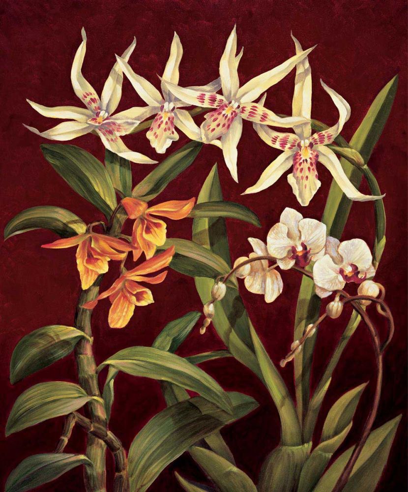 Orchid Trio I