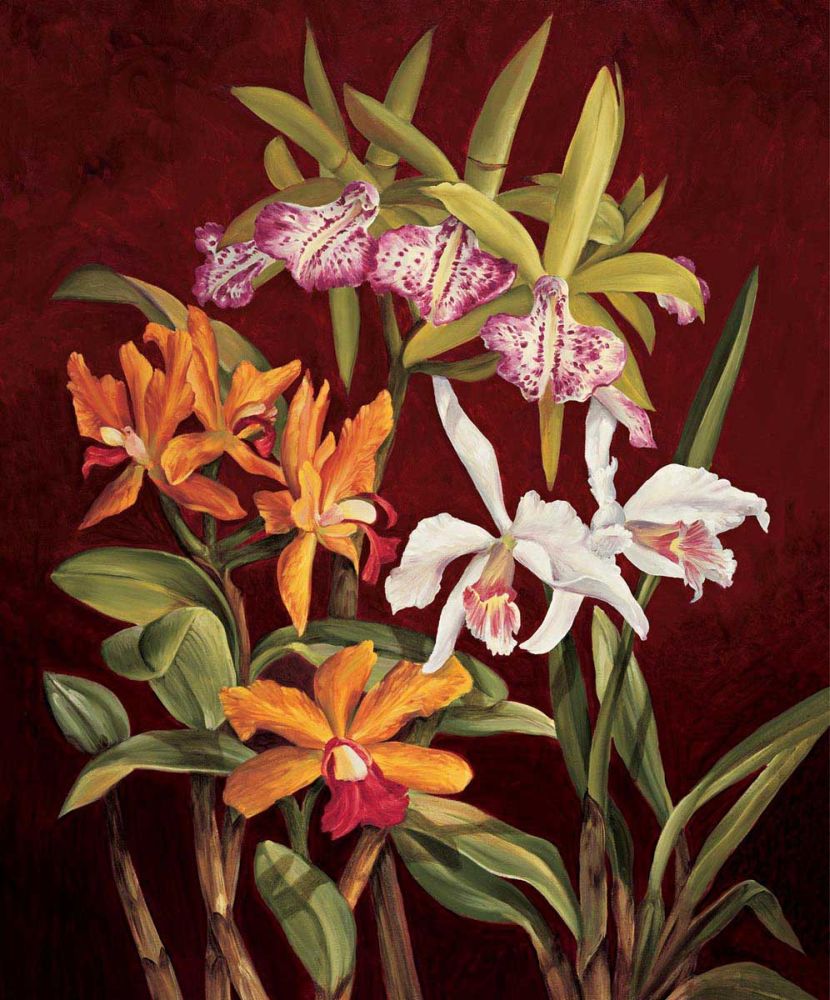 Orchid Trio II