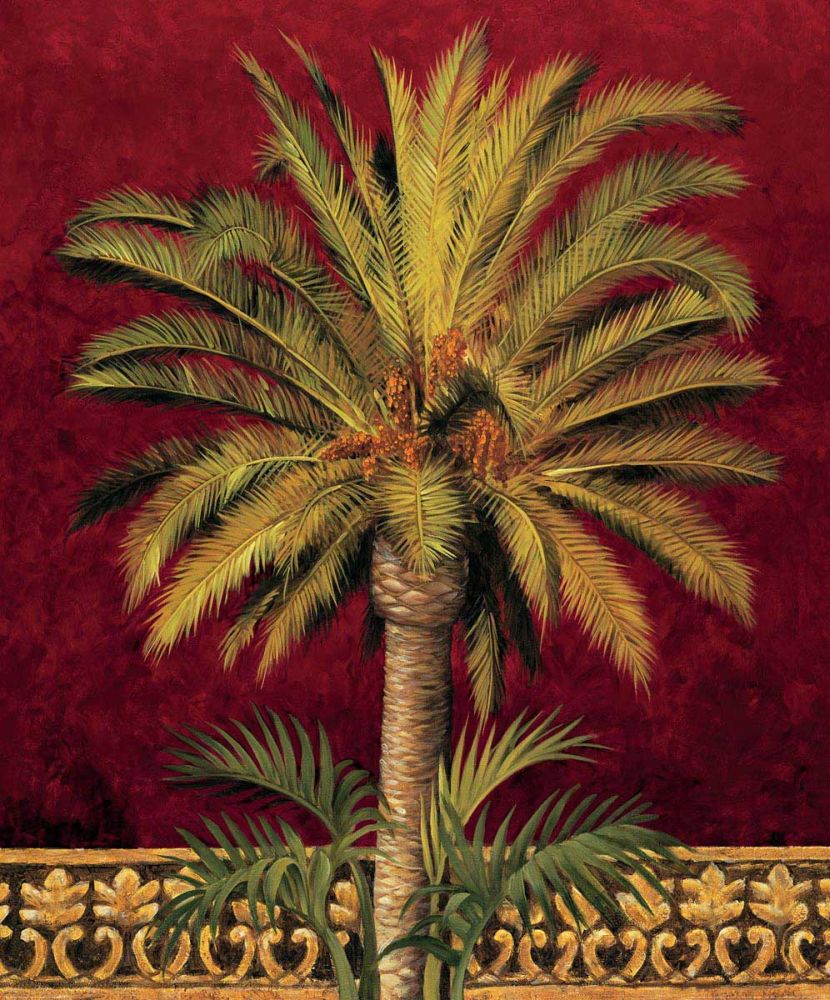 Canary Palm