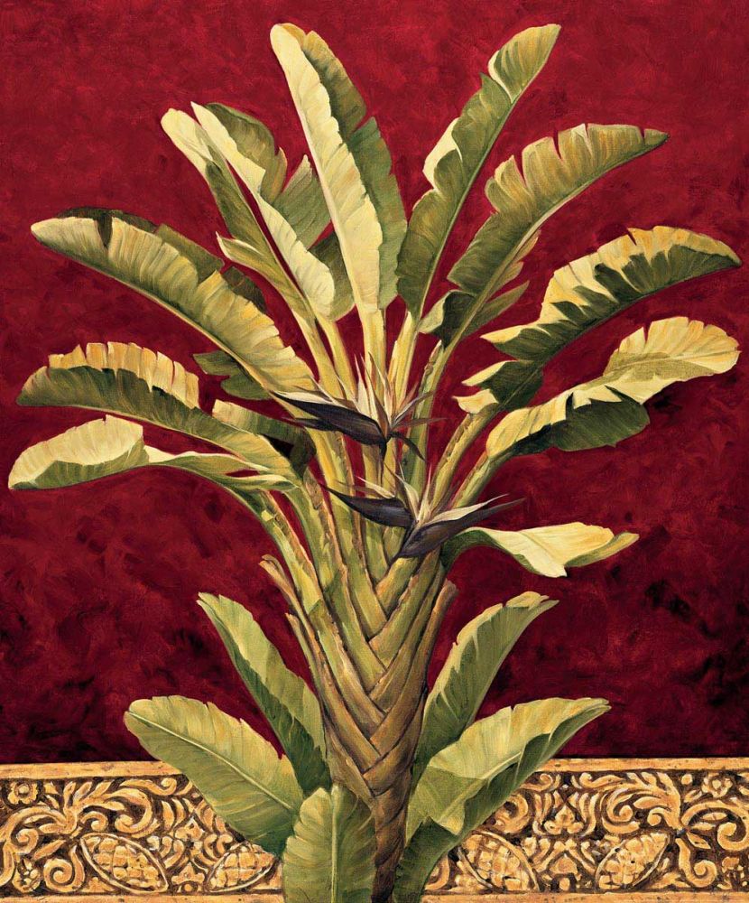 Travelers Palm