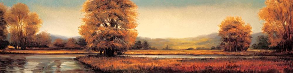 Landscape Panorama II