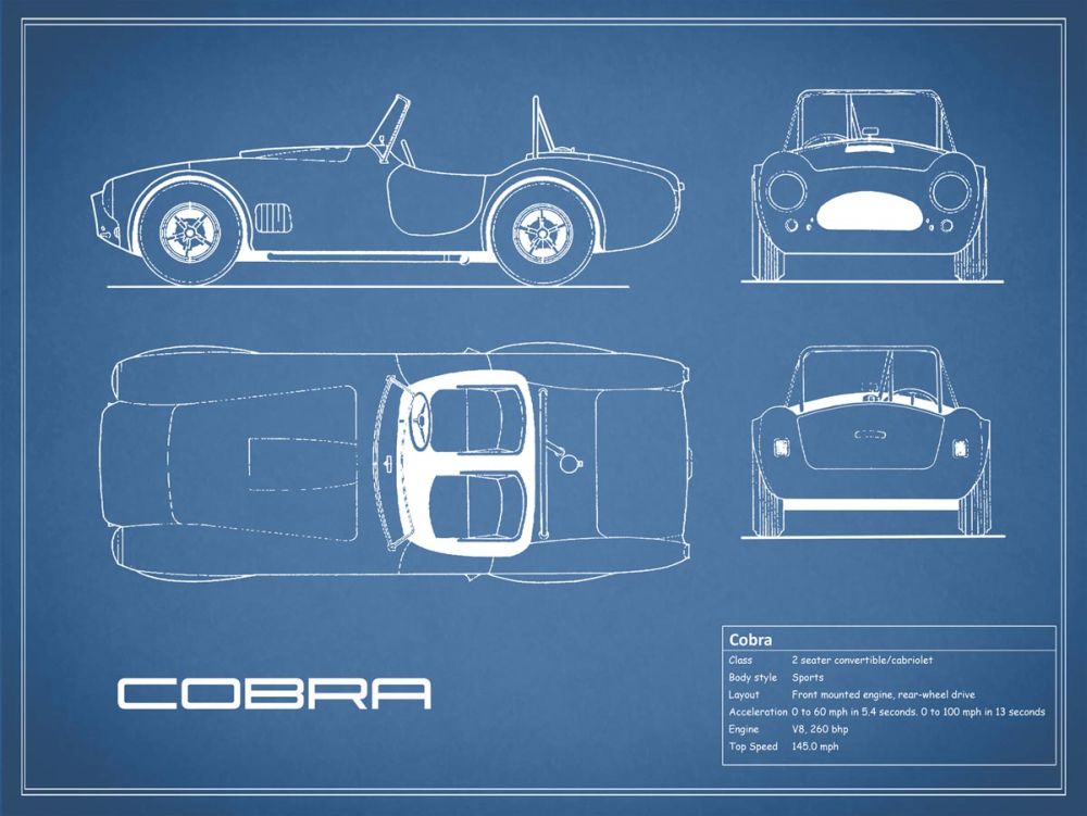 Cobra-Blue