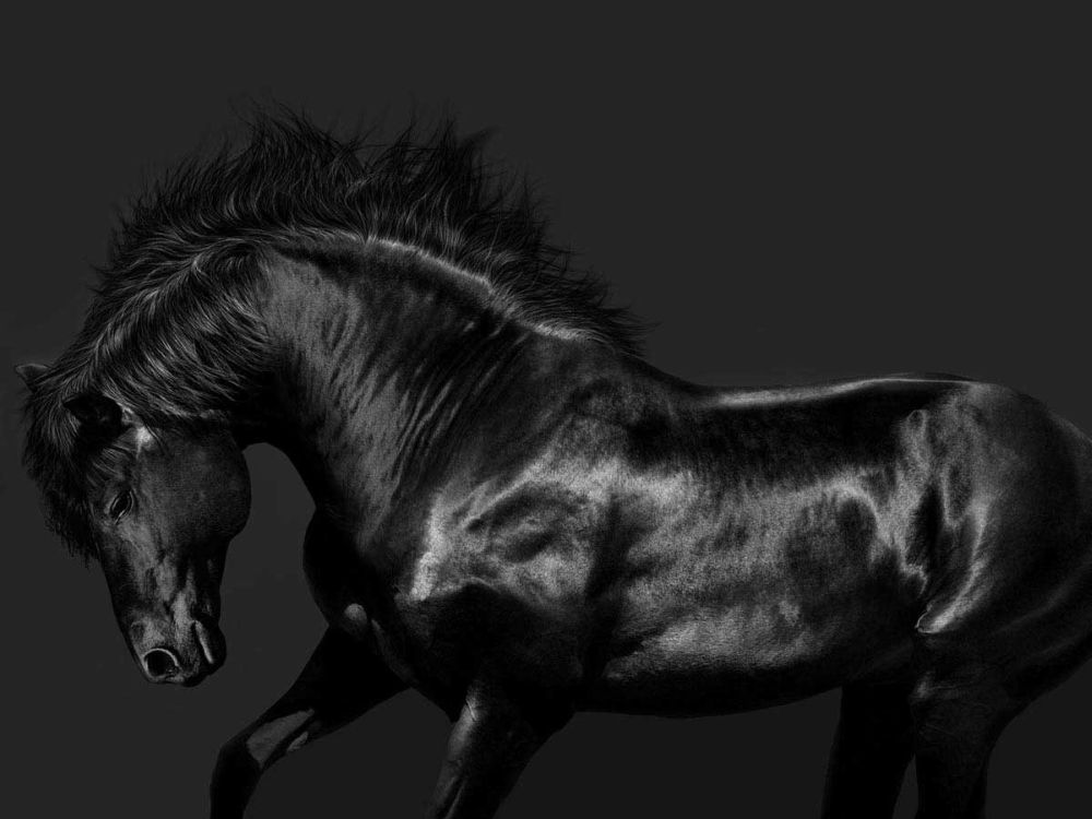 Black on Black