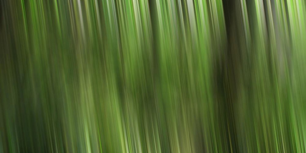 Tree motion