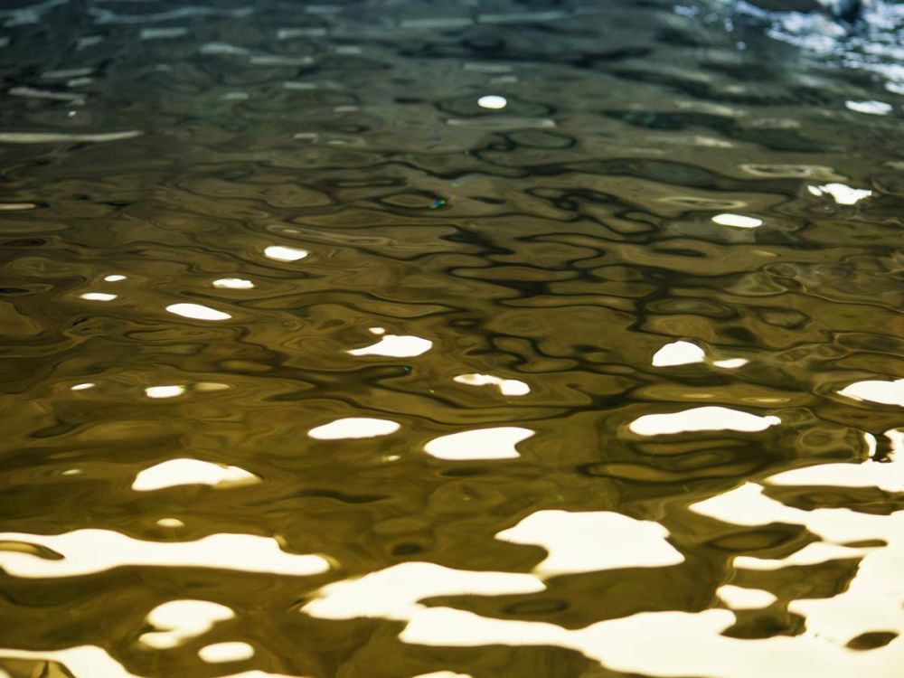Water Reflections
