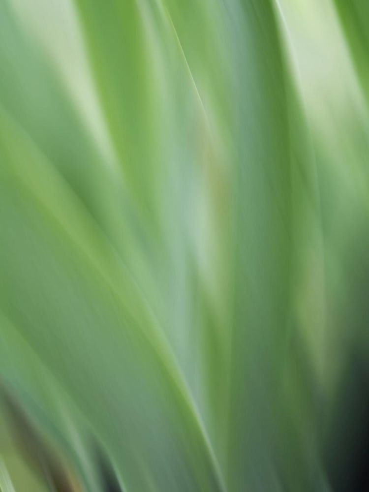 Green flora motion