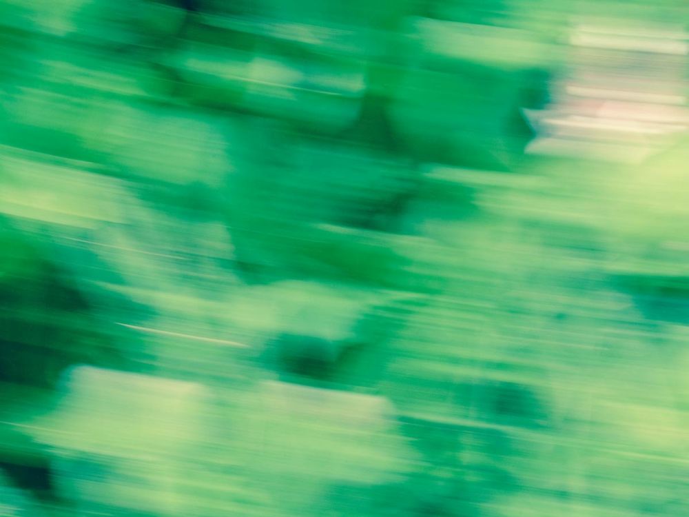 Flora Motion