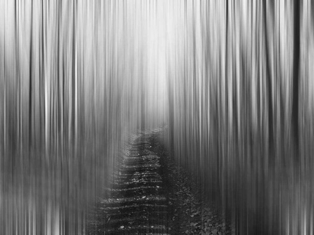 Path