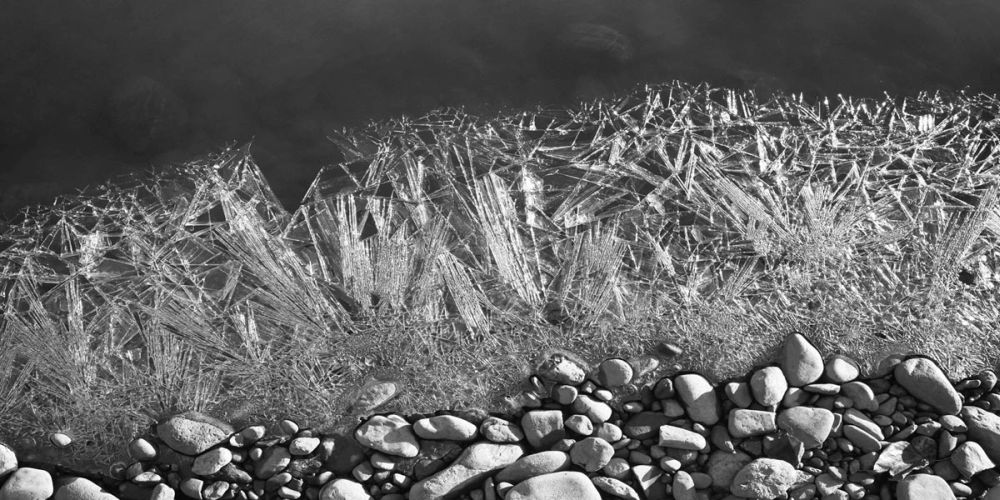 Frozen River's Edge
