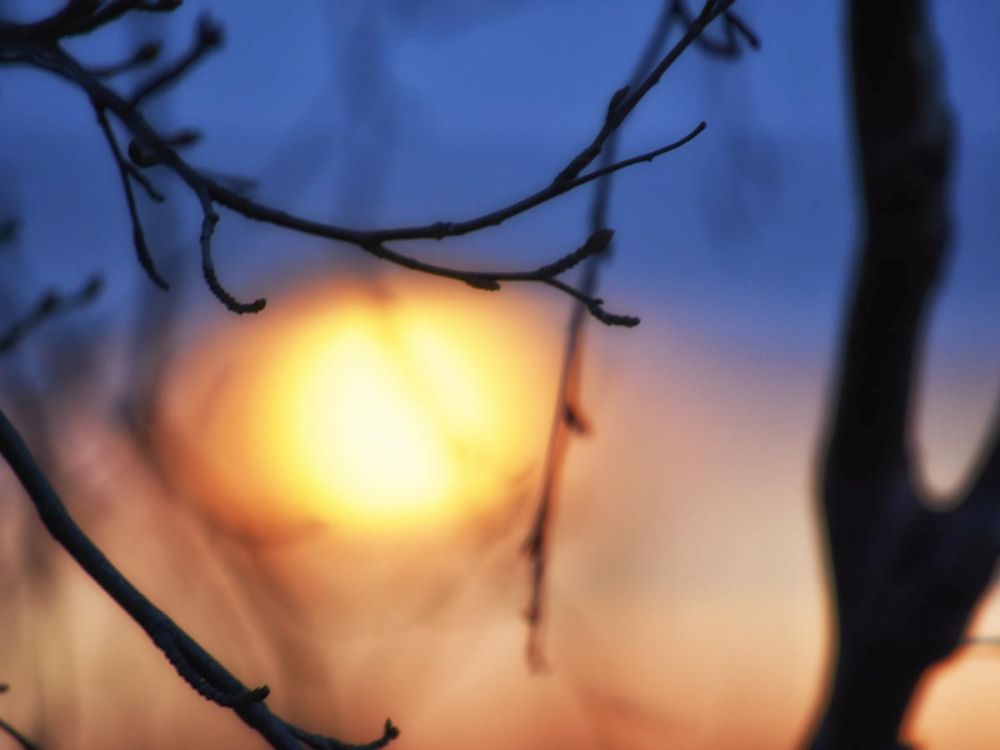Abstract Sunset