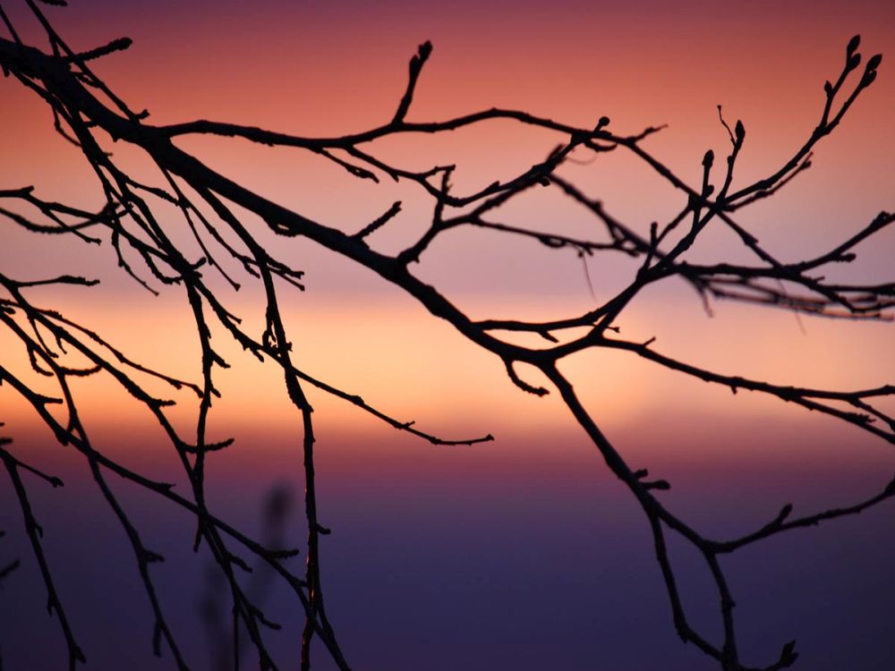 Abstract Sunset