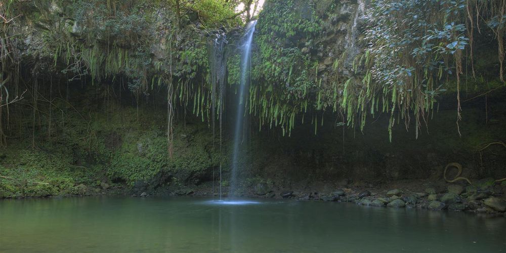 Twin Falls - Maui