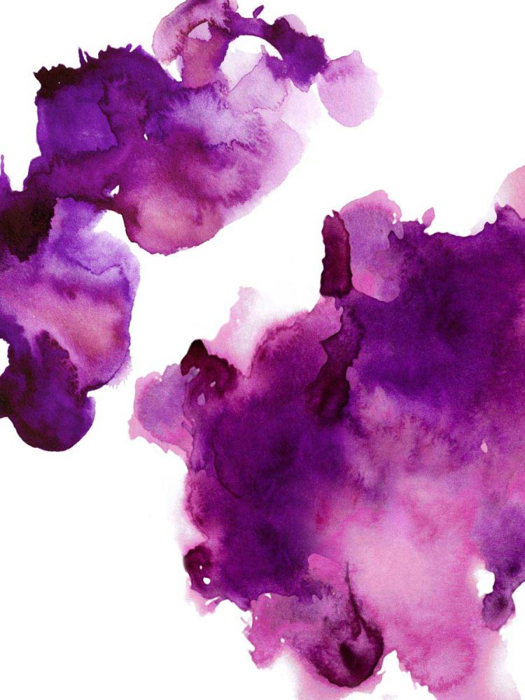 Elevate Fuchsia