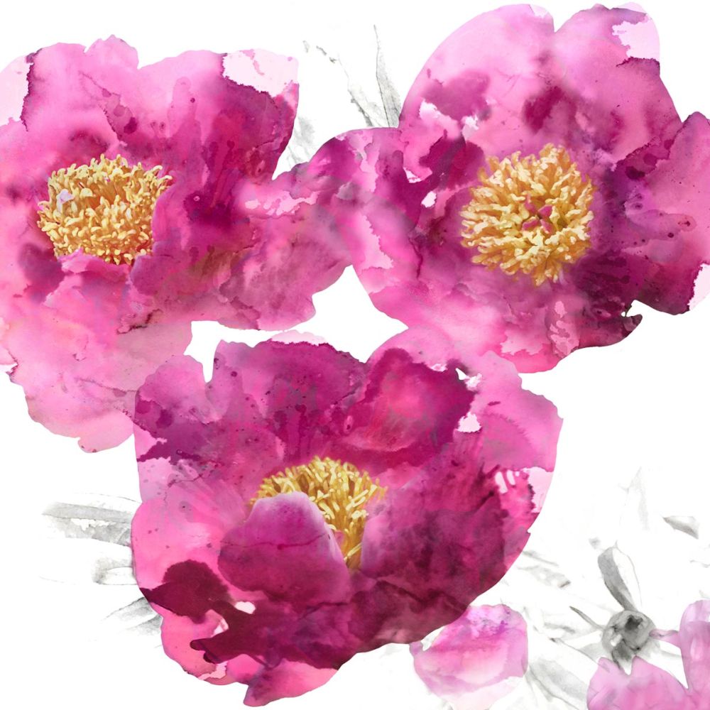 Pink Bloom II