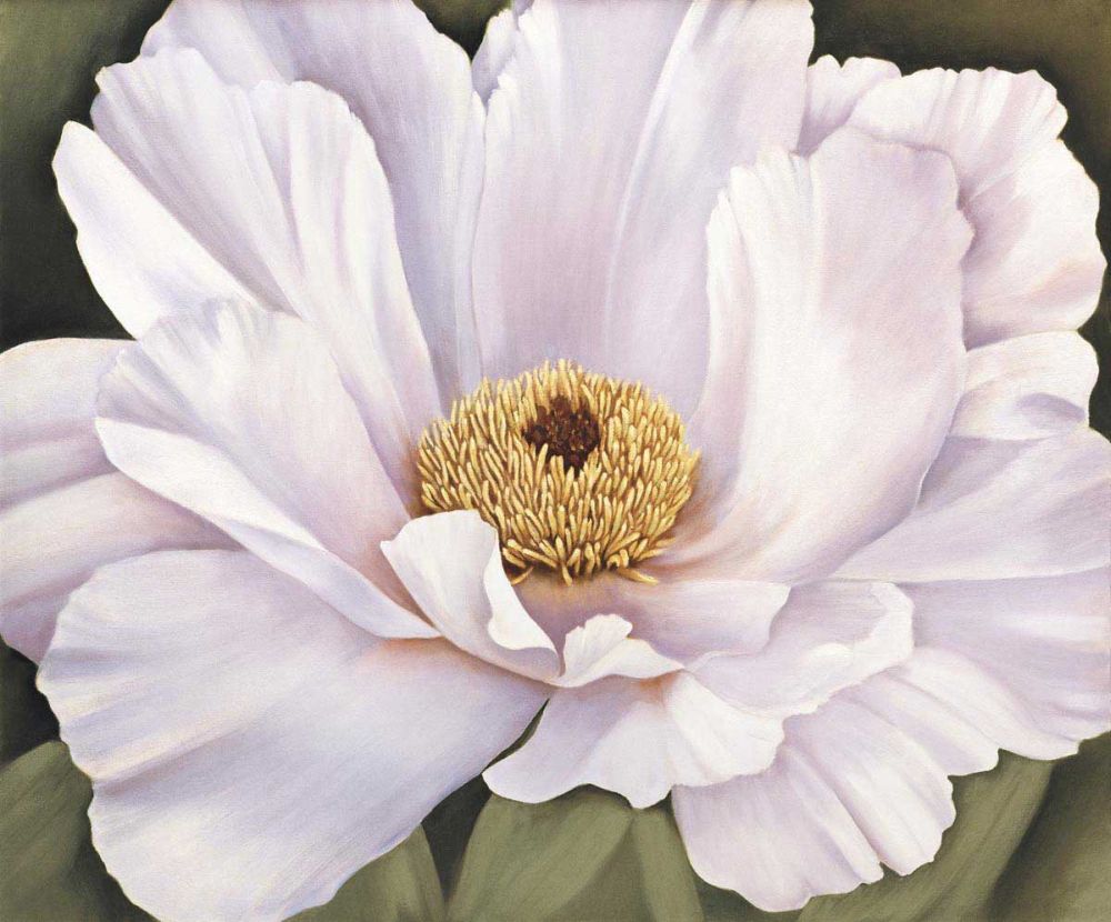 Peony