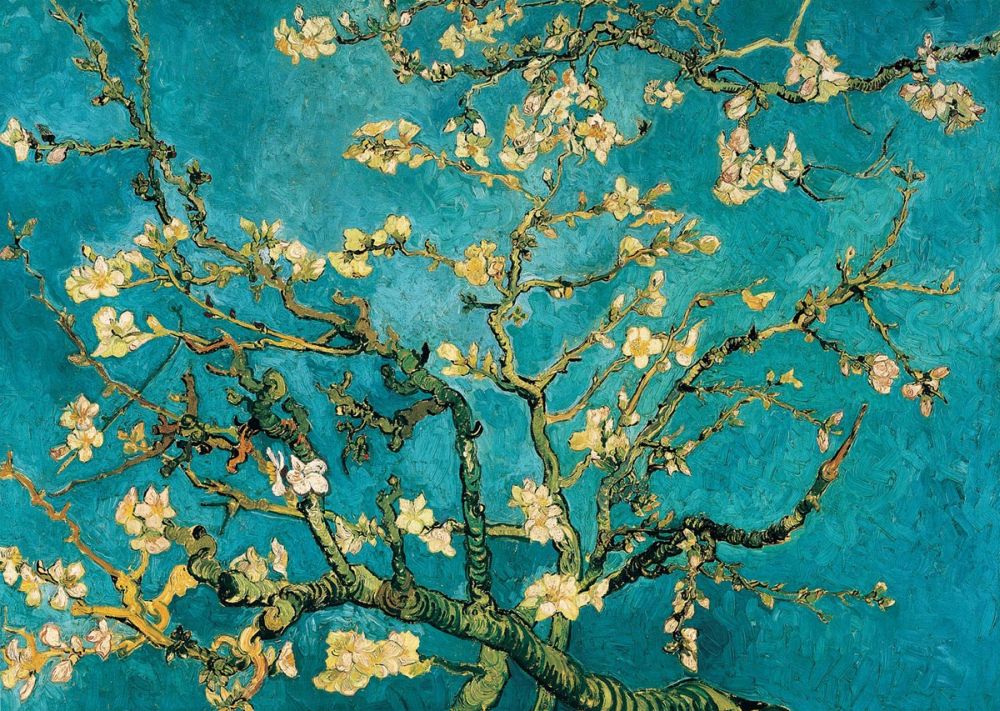 Mandorlo in fiore